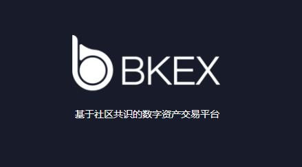 BX的密码多少（bkex忘记密码）-图2