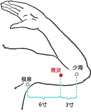 青吼灵多少钱一盒（青灵的作用与功效）-图2