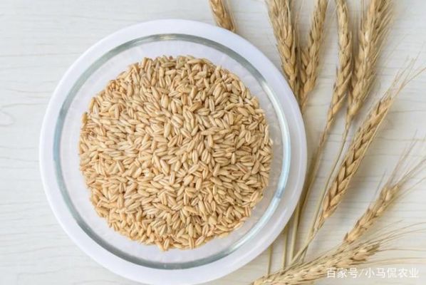 小麦的作用有多少（小麦的作用?）