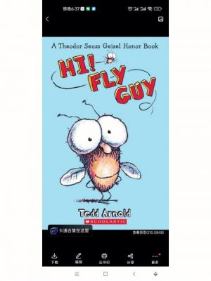 flyguy有多少集（fly guy ride）-图1
