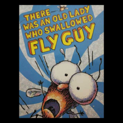 flyguy有多少集（fly guy ride）-图3