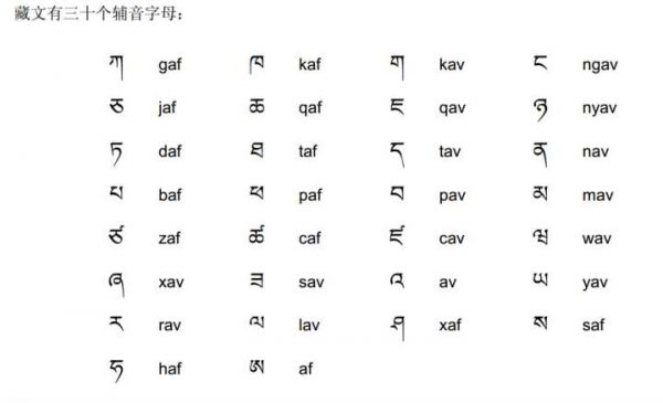 藏语有多少字（藏语有多少个字）-图1