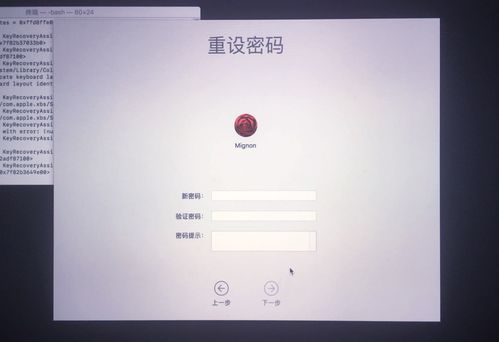 mac有多少密码（mac密码是多少）-图3