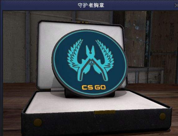 csgo守护者多少钱（csgo守护者勋章怎么得）-图1