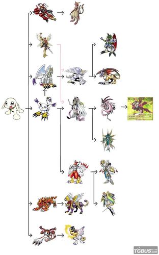 数码进化需要多少材料（数码进化需要多少材料才能做）-图1