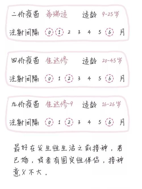 2价是多少钱（2价多少钱一共）-图1