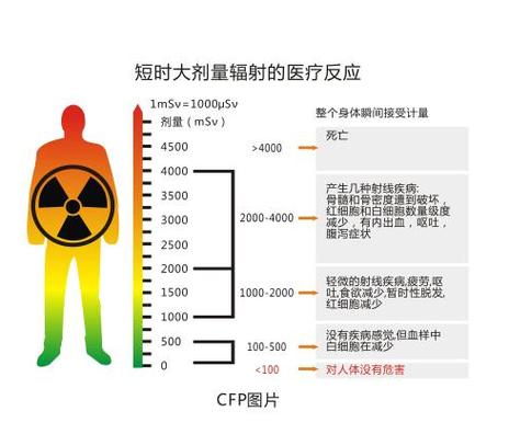 辐射有多少组织（辐射有多少组织组成）