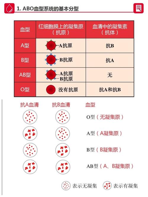 变异血清是多少金币（变异血型是什么意思）