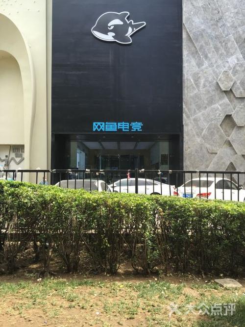 网鱼电竞工体店多少钱（网鱼电竞工体店多少钱一个月）-图2