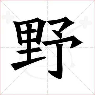 野字的繁体字多少画（野的繁体字多少笔画）-图2