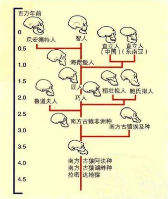 人类有多少种类u（人类有多少种人种）-图3