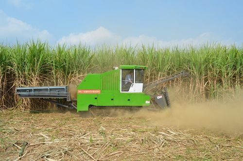 收割甘蔗机多少钱一台（甘蔗收割机工作原理视频）-图2