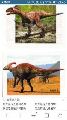恐龙共多少只（恐龙共计有多少余种）-图3