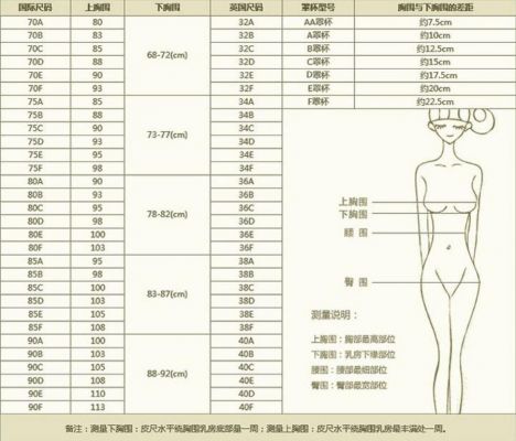 少女的罩杯是多少（少女一般胸围是多少）-图1