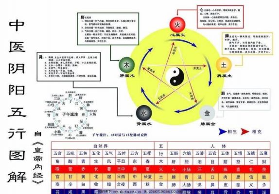 中医多少划（中医有多少）-图3