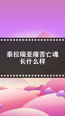 苦痛魂多少錢（痛苦亡魂有什么用）-图2