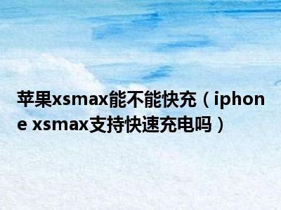 xsmax充电充多少（苹果xsmax充电多少a）-图3