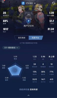 csgo多少胜段位（csgo打多少局才有段位）-图3