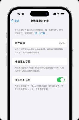 苹果电池充电多少次（苹果电池充电多少次掉1%）-图3
