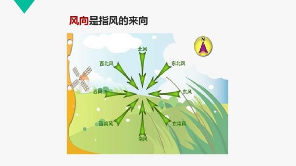 秋风在多少区（秋风是哪个方向的风）-图2