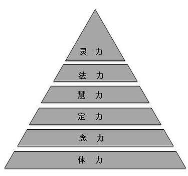 13法力折合多少灵力（法力灵力区别）-图2